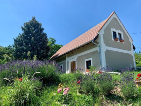 Balaton home with a majestic view